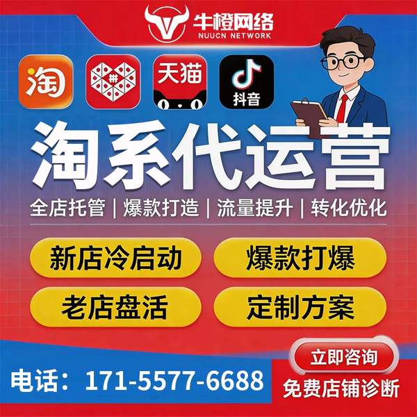 丽江电商代运营
