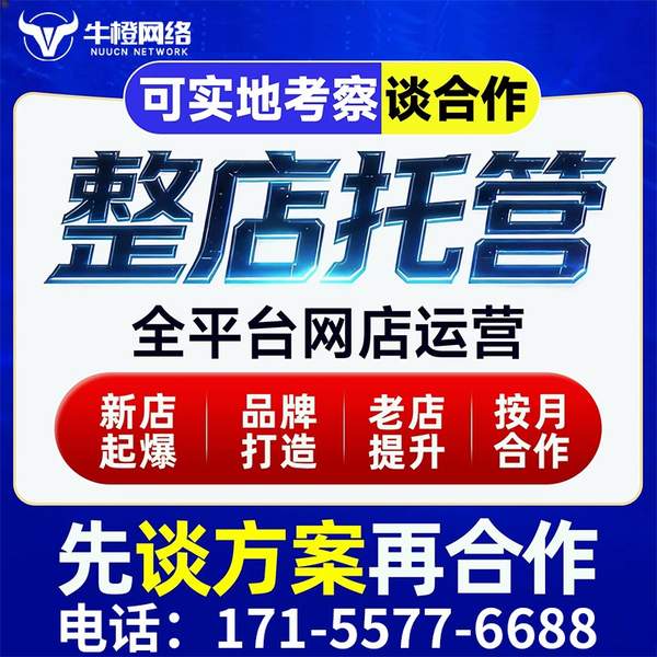 丽江电商代运营