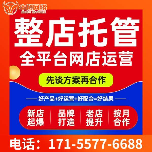 丽江电商代运营