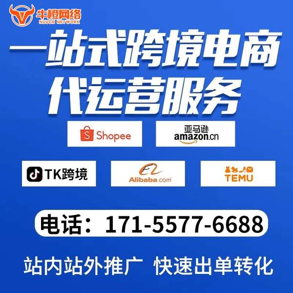 丽江电商代运营