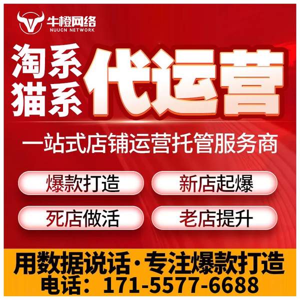 丽江电商代运营